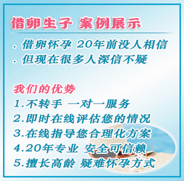 日本代孕服务