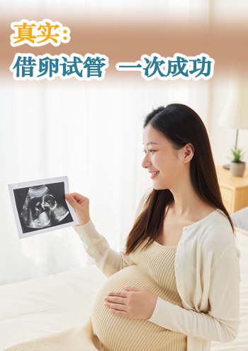 日本代孕咨询
