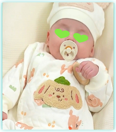 日本代孕机构 - 成功案例